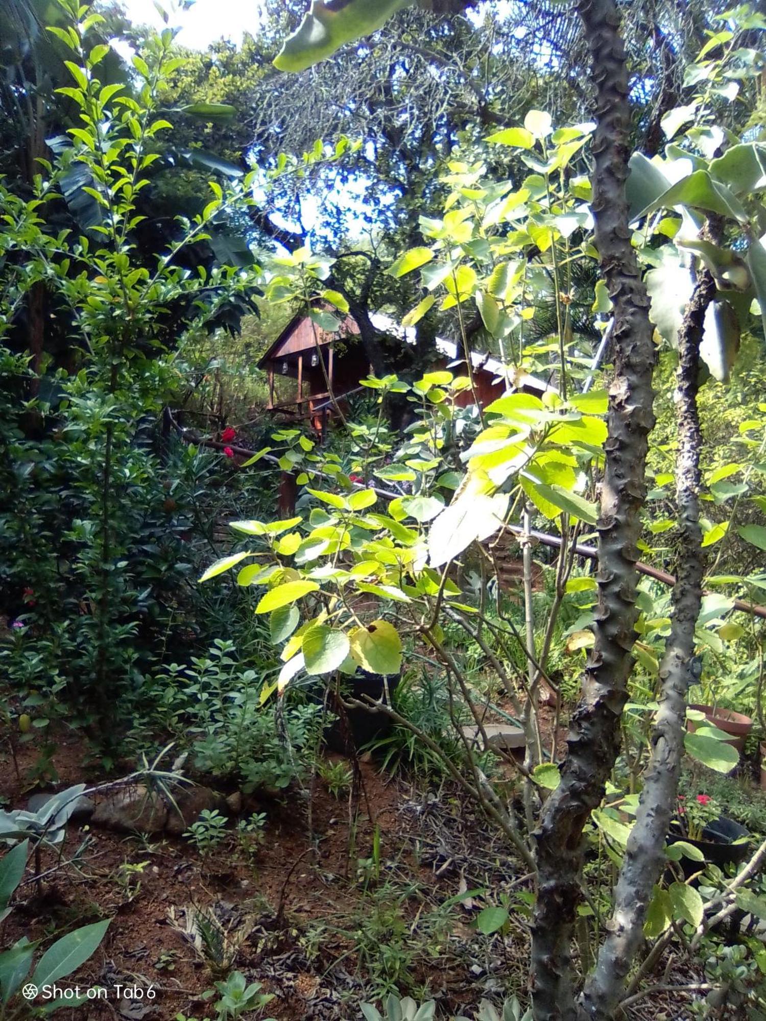 Pumba's Lookout Chalet Barberton