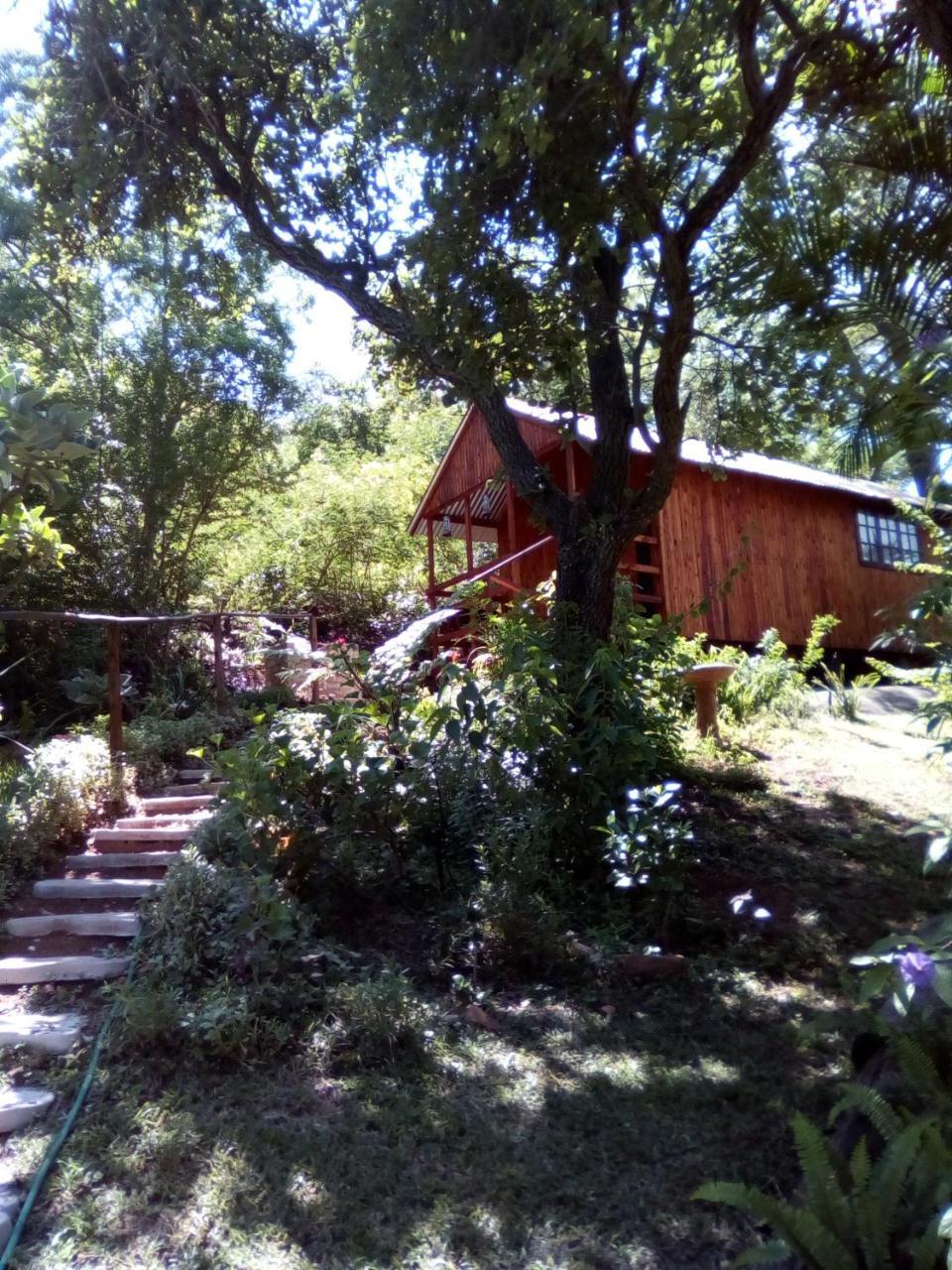 Chalet Pumba's Lookout *