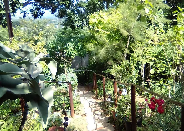 Pumba\'S Lookout