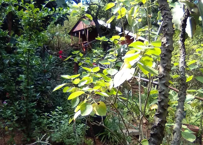 Pumba\'S Lookout