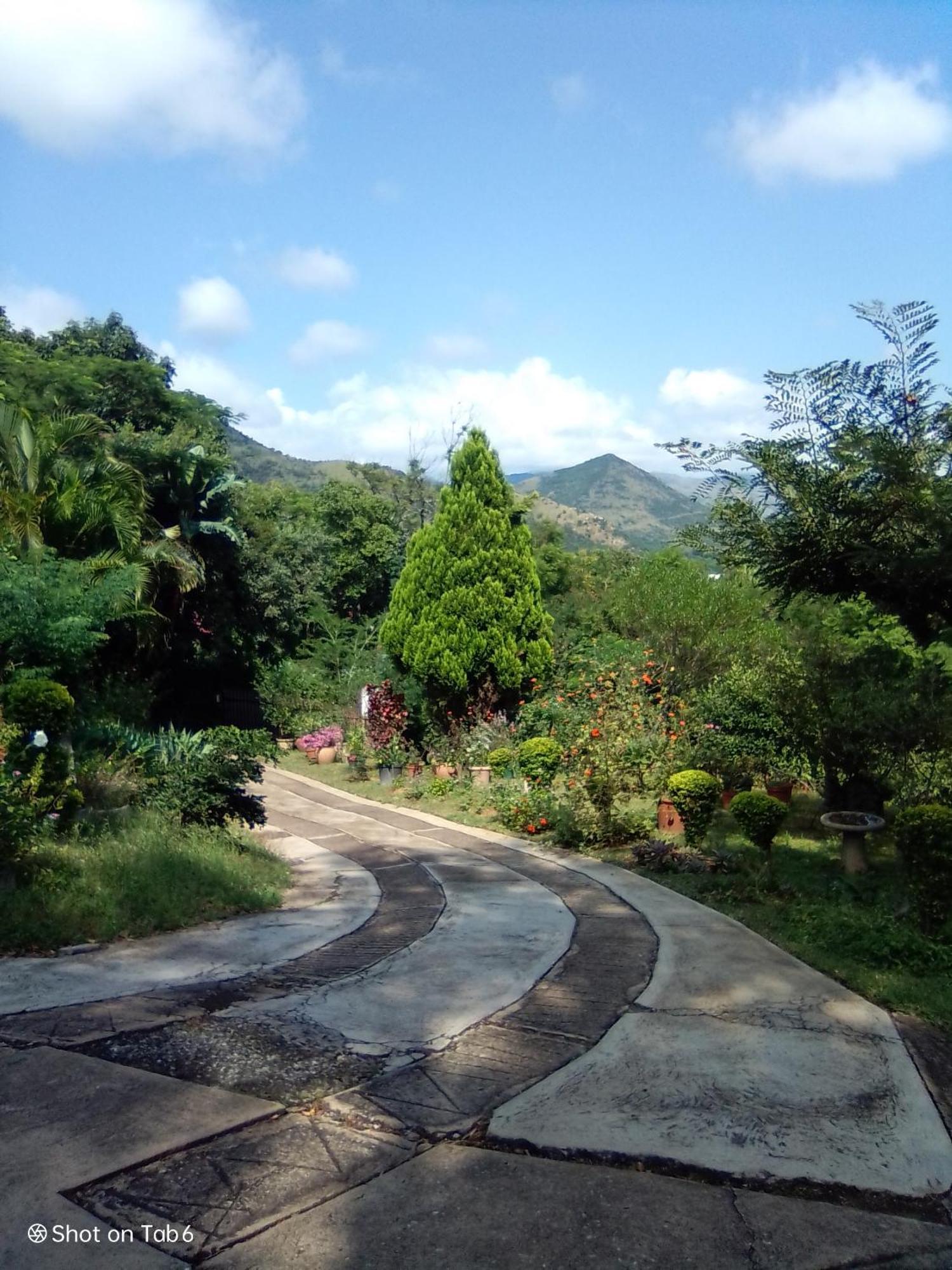 Pumba's Lookout Chalet