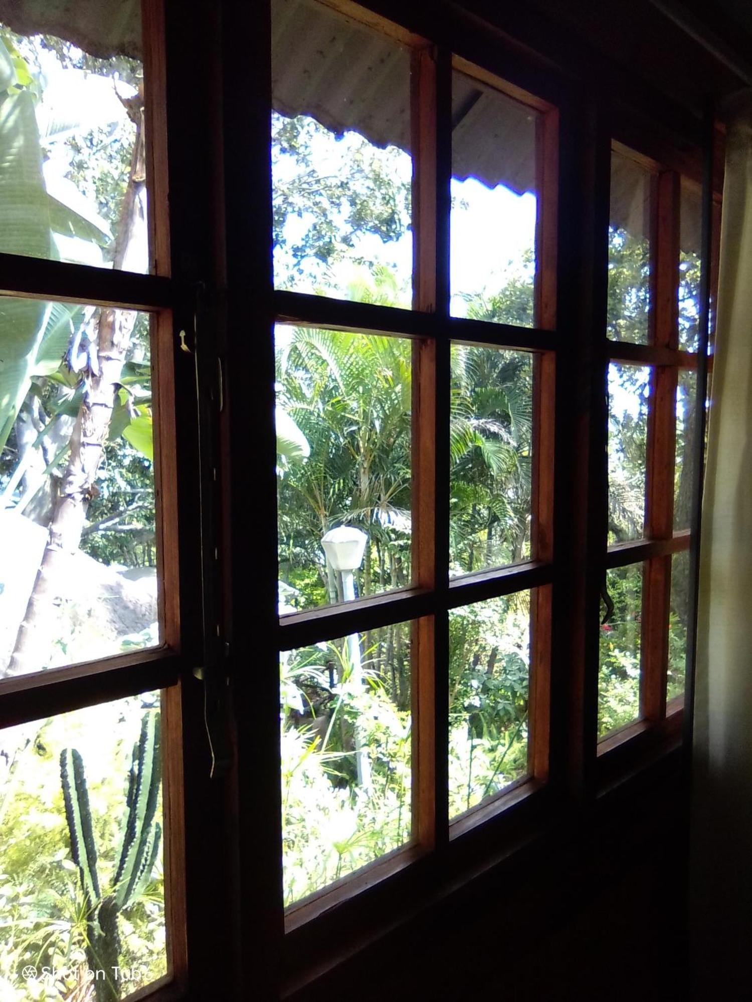 Pumba's Lookout Chalet *