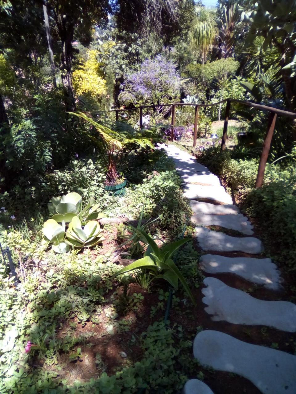 Chalet Pumba's Lookout